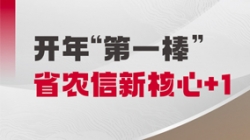 中标开门红！K8凯发科技与省级农商联合银行共创新核心农信样板